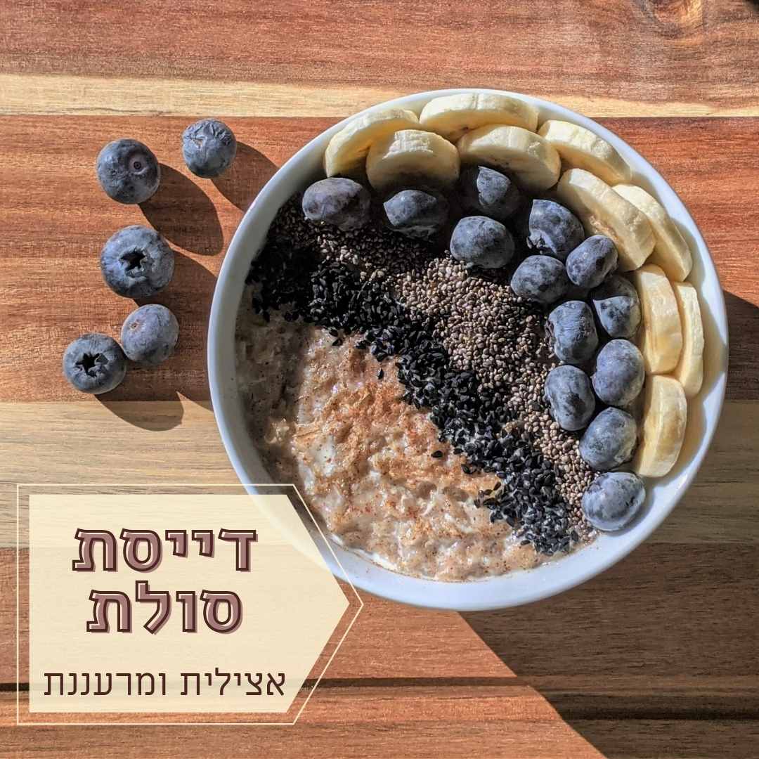 דייסת סולת